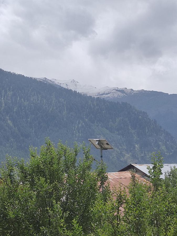 Woods Inn Mountain View Manali Εξωτερικό φωτογραφία